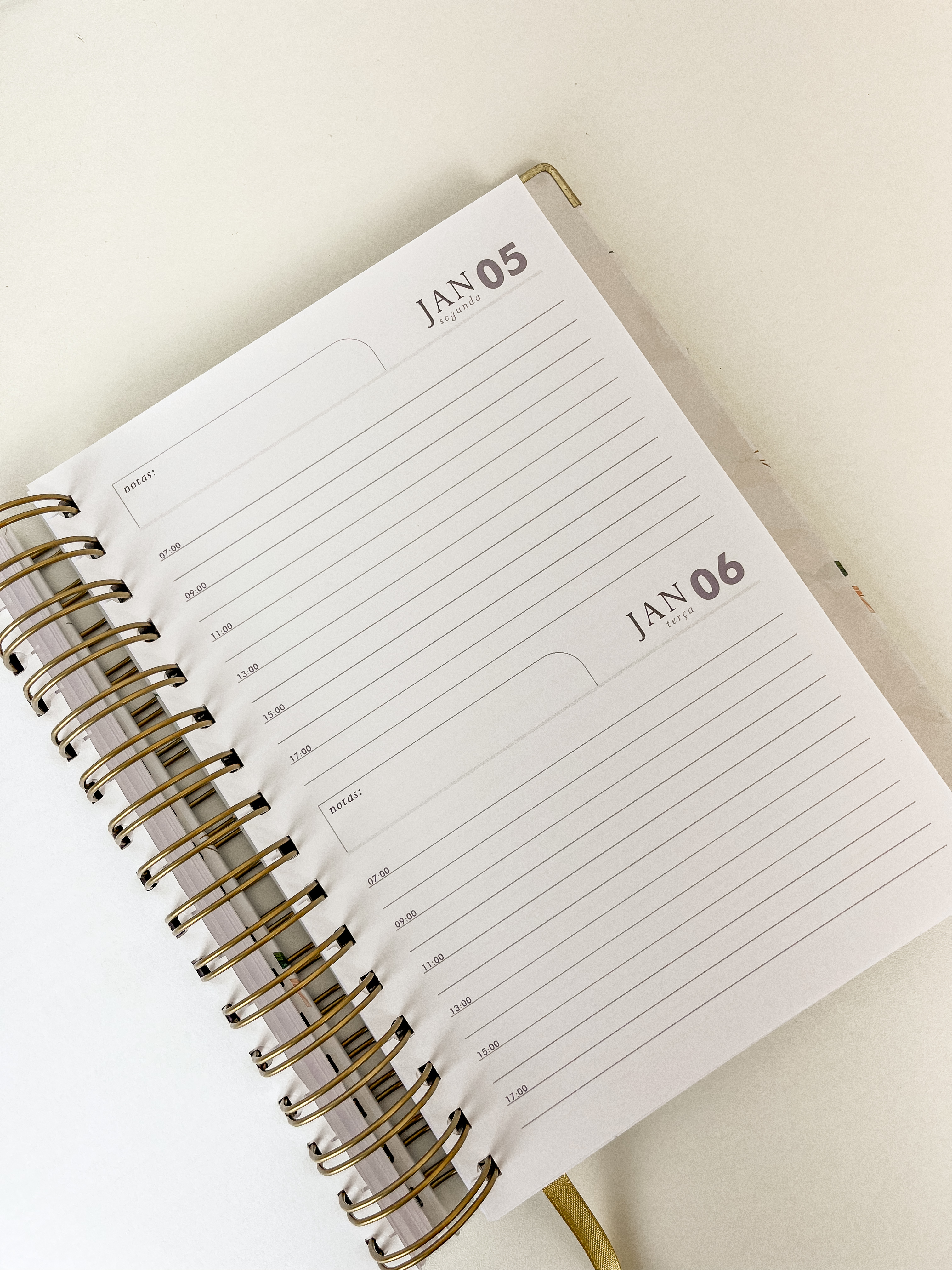 2 dias por página COM horários